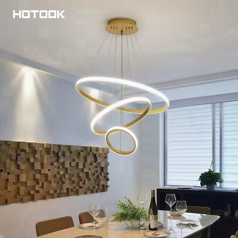 Modern Decorative Chandelier Fixture
