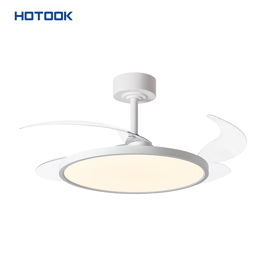 Contemporary Remote Fan Light Fixture