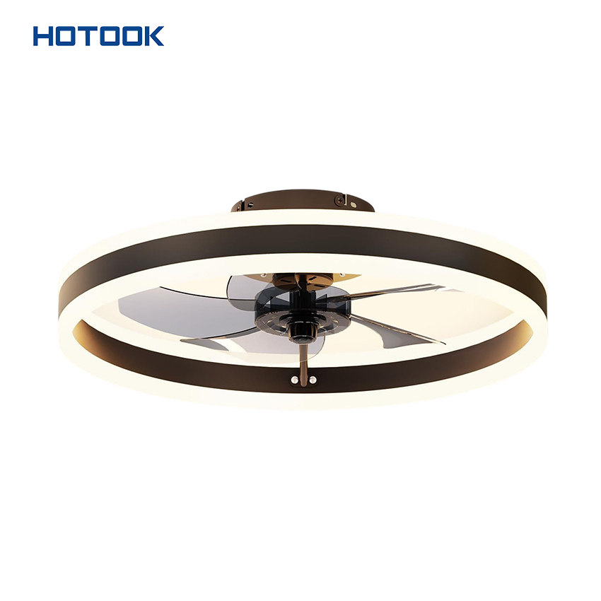 Smart Home Ceiling Fan Light