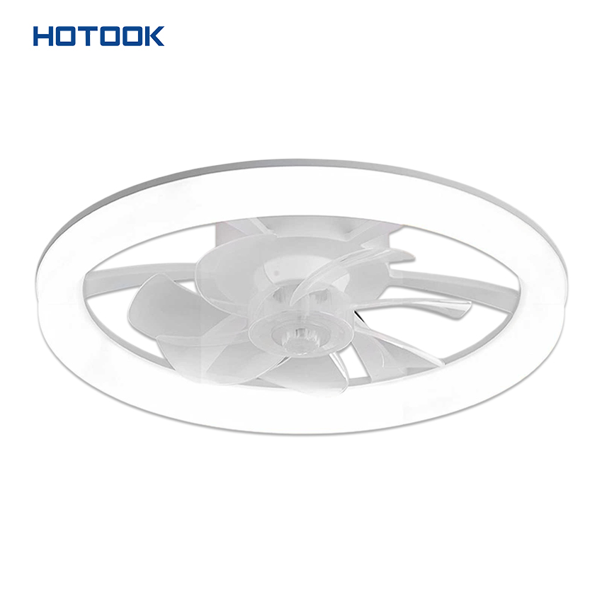 Modern Smart Ceiling Fan Light