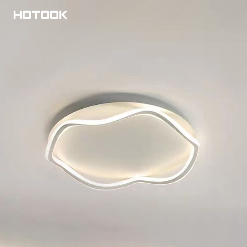 Contemporary LED Ceiling Light